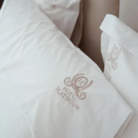 Hotel Platinium